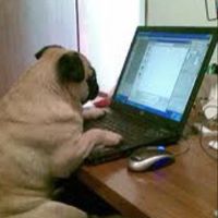 puggy