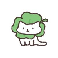 renren24
