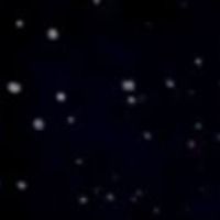 Starlight_Moth