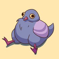 PrettyPigeon