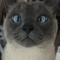 LameName