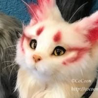 Fluffyx3