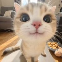 AnonyMomo