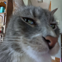 ClaptasticFrag