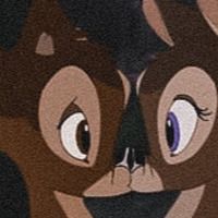 Pupade