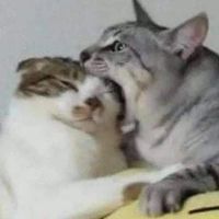 0909