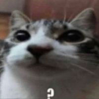 purobleeh