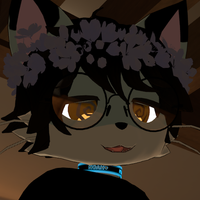 SillyCatShark