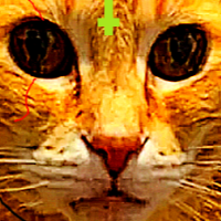 gjally444