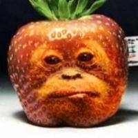 Yonomoko