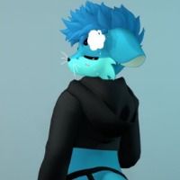 octok